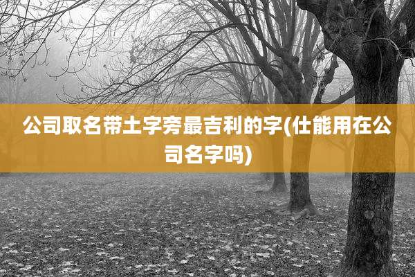 公司取名带土字旁最吉利的字(仕能用在公司名字吗)