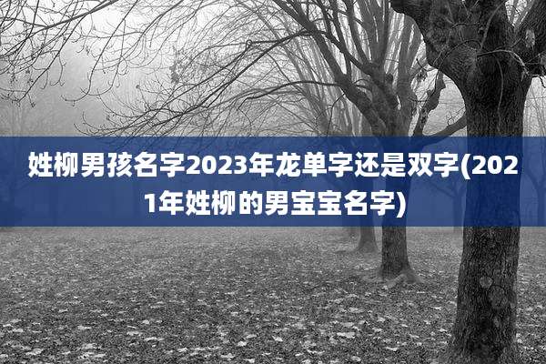 姓柳男孩名字2023年龙单字还是双字(2021年姓柳的男宝宝名字)