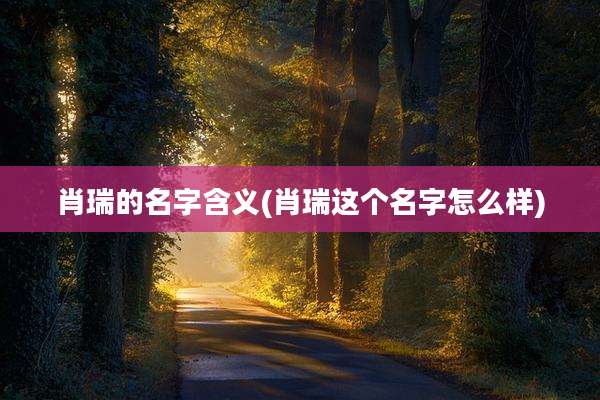 肖瑞的名字含义(肖瑞这个名字怎么样)