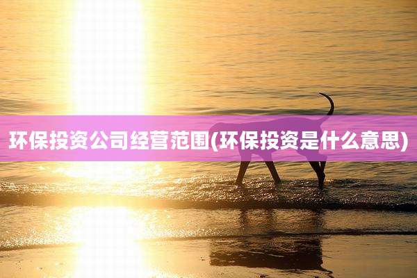 环保投资公司经营范围(环保投资是什么意思)
