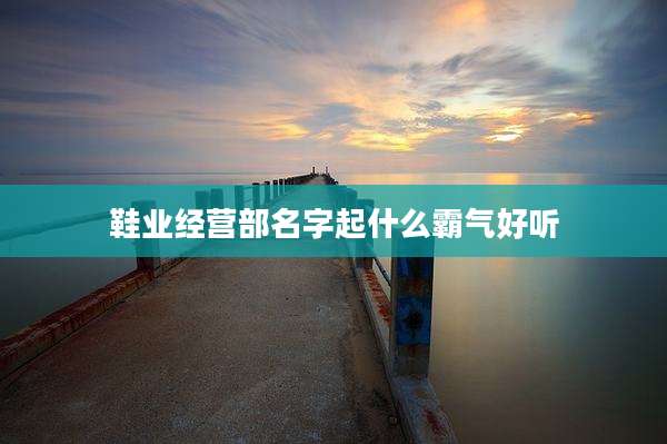 鞋业经营部名字起什么霸气好听