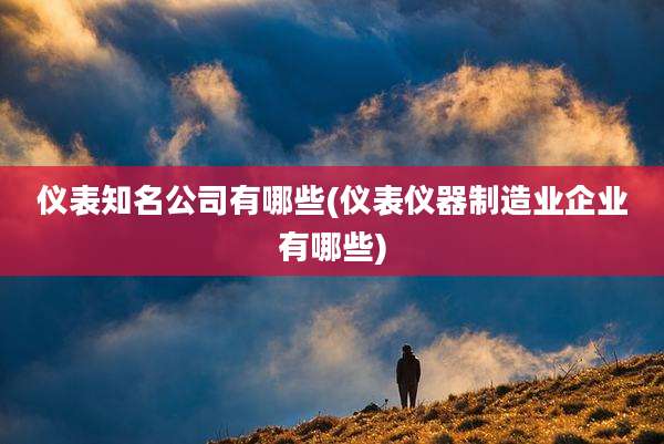 仪表知名公司有哪些(仪表仪器制造业企业有哪些)