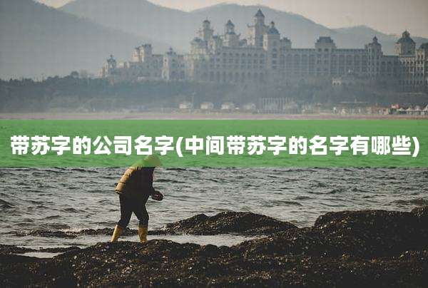 带苏字的公司名字(中间带苏字的名字有哪些)