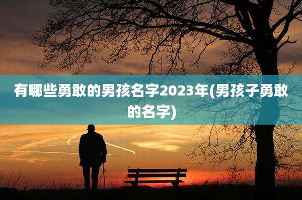 有哪些勇敢的男孩名字2023年(男孩子勇敢的名字)