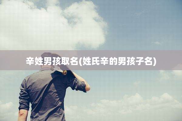 辛姓男孩取名(姓氏辛的男孩子名)