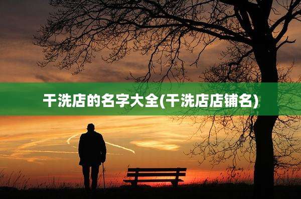 干洗店的名字大全(干洗店店铺名)