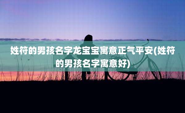 姓符的男孩名字龙宝宝寓意正气平安(姓符的男孩名字寓意好)