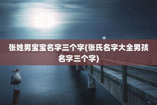 张姓男宝宝名字三个字(张氏名字大全男孩名字三个字)