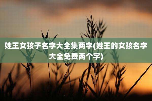 姓王女孩子名字大全集两字(姓王的女孩名字大全免费两个字)