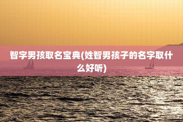 智字男孩取名宝典(姓智男孩子的名字取什么好听)