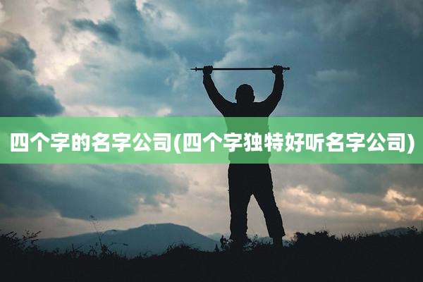 四个字的名字公司(四个字独特好听名字公司)