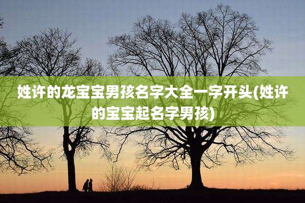 姓许的龙宝宝男孩名字大全一字开头(姓许的宝宝起名字男孩)