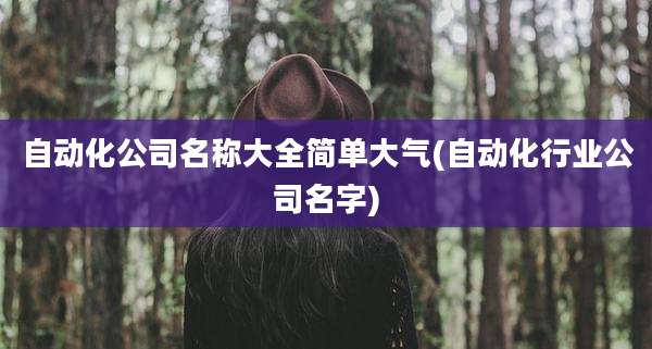 自动化公司名称大全简单大气(自动化行业公司名字)