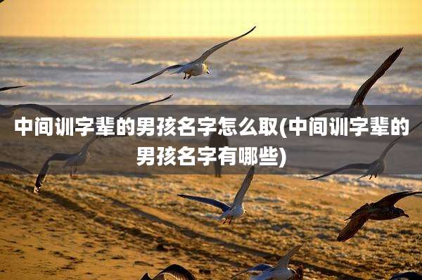 中间训字辈的男孩名字怎么取(中间训字辈的男孩名字有哪些)