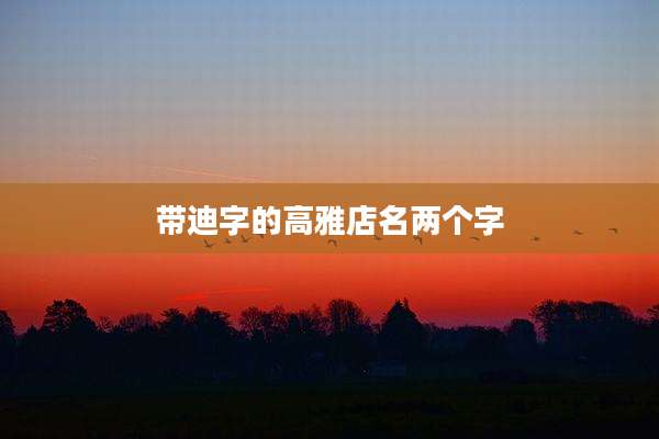带迪字的高雅店名两个字