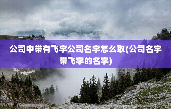 公司中带有飞字公司名字怎么取(公司名字带飞字的名字)