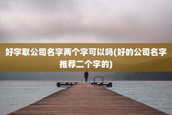 好字取公司名字两个字可以吗(好的公司名字推荐二个字的)