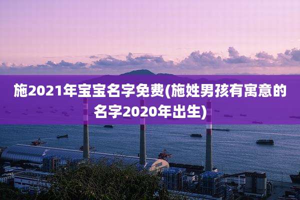 施2021年宝宝名字免费(施姓男孩有寓意的名字2020年出生)