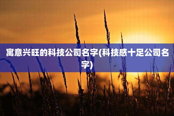 寓意兴旺的科技公司名字(科技感十足公司名字)