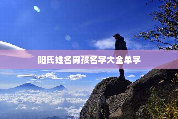 阳氏姓名男孩名字大全单字