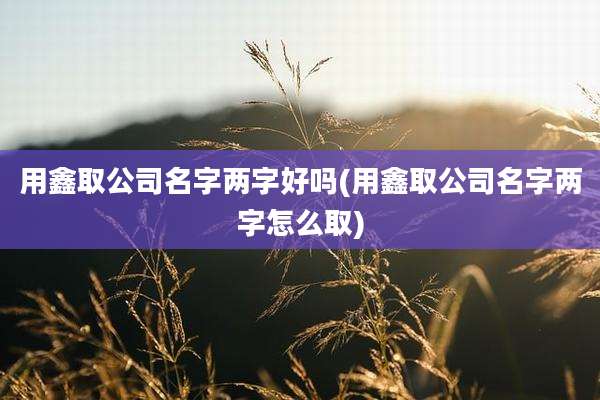 用鑫取公司名字两字好吗(用鑫取公司名字两字怎么取)