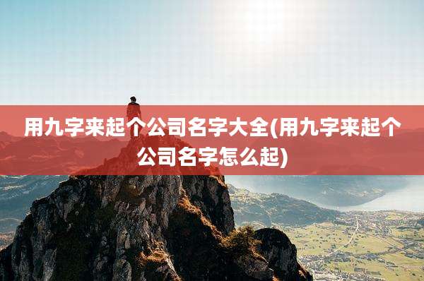 用九字来起个公司名字大全(用九字来起个公司名字怎么起)