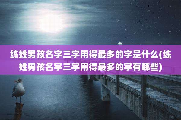 练姓男孩名字三字用得最多的字是什么(练姓男孩名字三字用得最多的字有哪些)