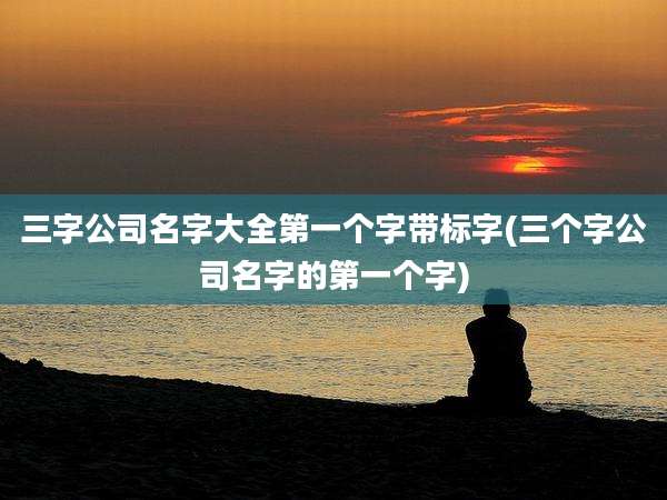 三字公司名字大全第一个字带标字(三个字公司名字的第一个字)