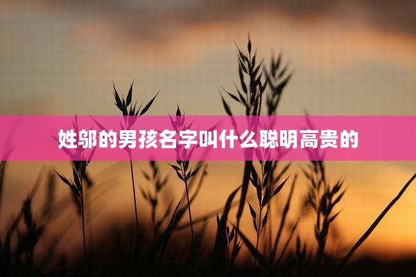 姓邬的男孩名字叫什么聪明高贵的
