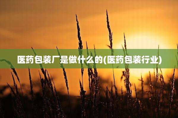 医药包装厂是做什么的(医药包装行业)