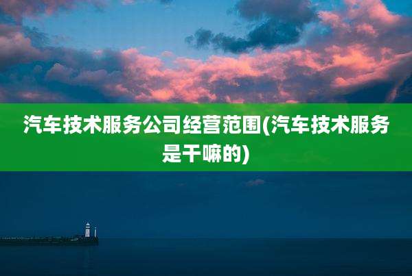 汽车技术服务公司经营范围(汽车技术服务是干嘛的)