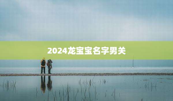 2024龙宝宝名字男关