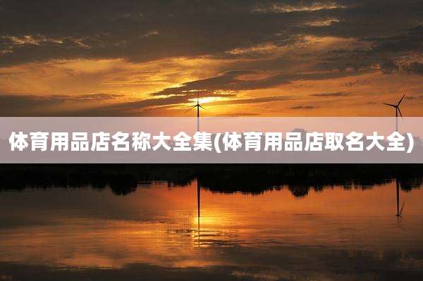 体育用品店名称大全集(体育用品店取名大全)