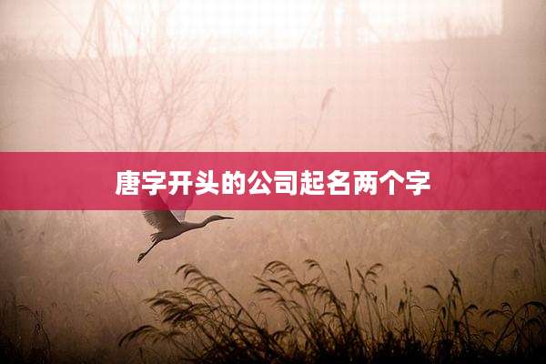 唐字开头的公司起名两个字