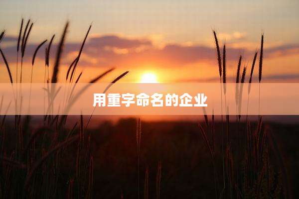 用重字命名的企业