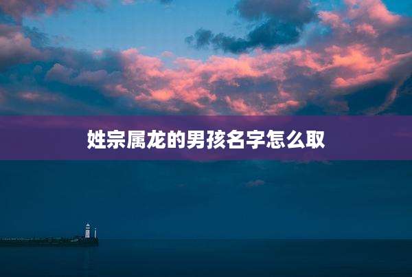 姓宗属龙的男孩名字怎么取