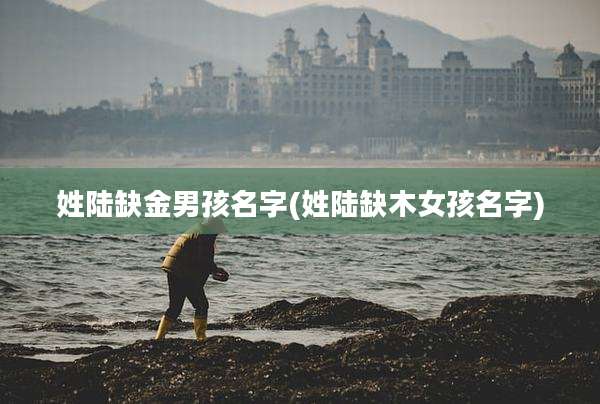 姓陆缺金男孩名字(姓陆缺木女孩名字)