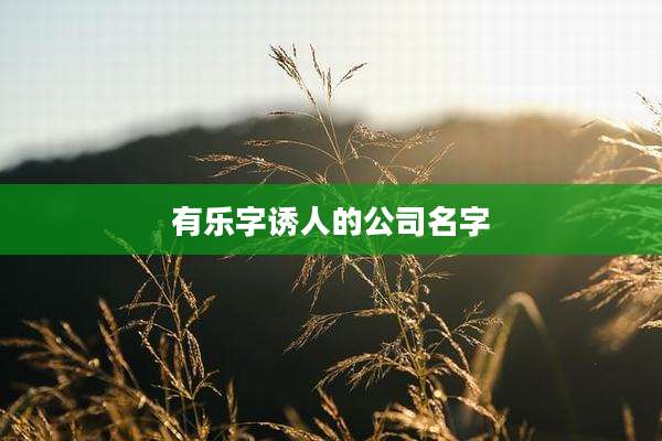 有乐字诱人的公司名字