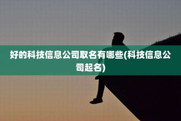 好的科技信息公司取名有哪些(科技信息公司起名)