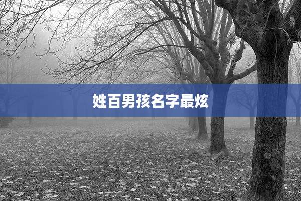 姓百男孩名字最炫