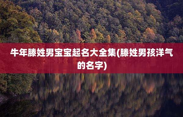 牛年滕姓男宝宝起名大全集(滕姓男孩洋气的名字)