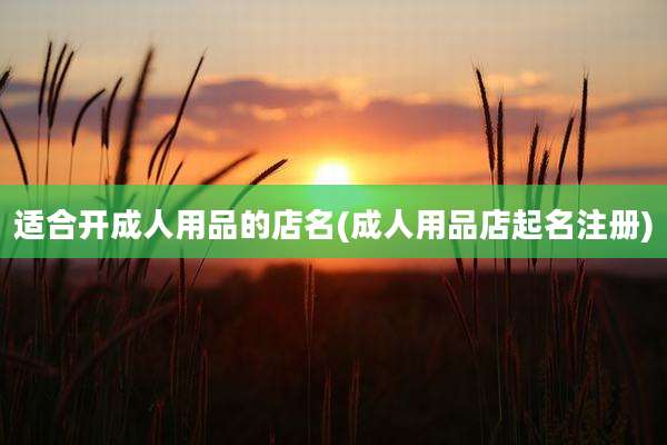 适合开成人用品的店名(成人用品店起名注册)