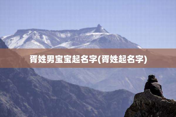 胥姓男宝宝起名字(胥姓起名字)