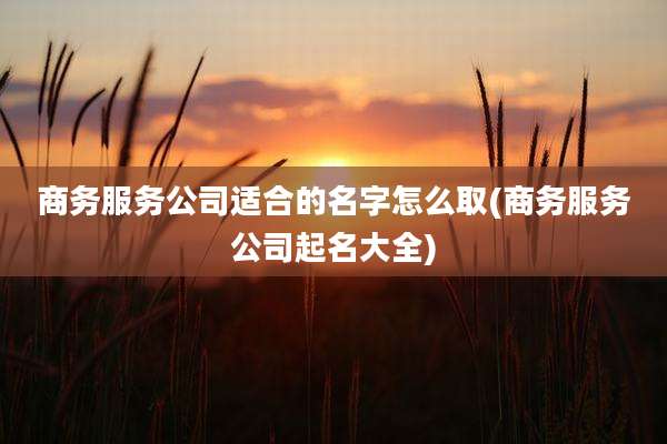 商务服务公司适合的名字怎么取(商务服务公司起名大全)