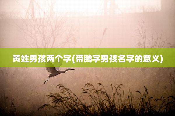 黄姓男孩两个字(带腾字男孩名字的意义)