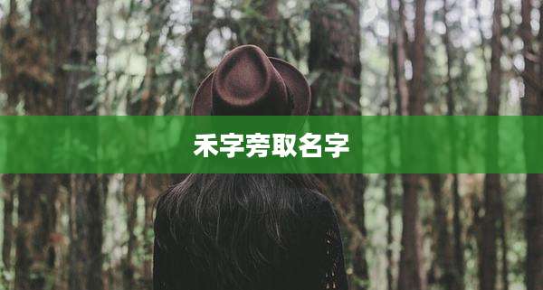 禾字旁取名字