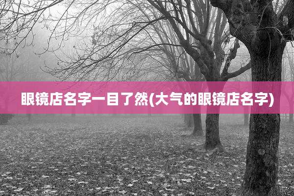 眼镜店名字一目了然(大气的眼镜店名字)
