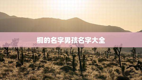 桐的名字男孩名字大全