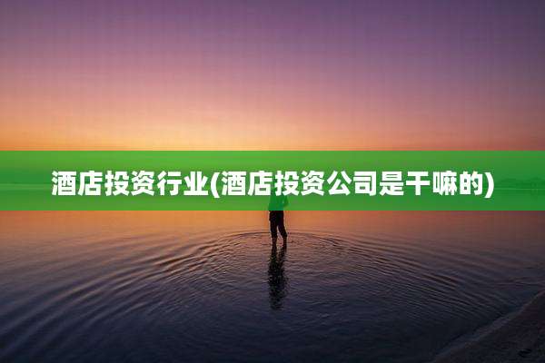 酒店投资行业(酒店投资公司是干嘛的)