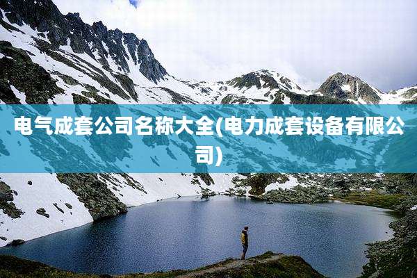 电气成套公司名称大全(电力成套设备有限公司)